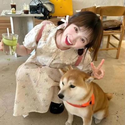 肥猫正传粤语
